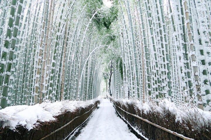 Kyoto and Nara Day Tour With English Guide