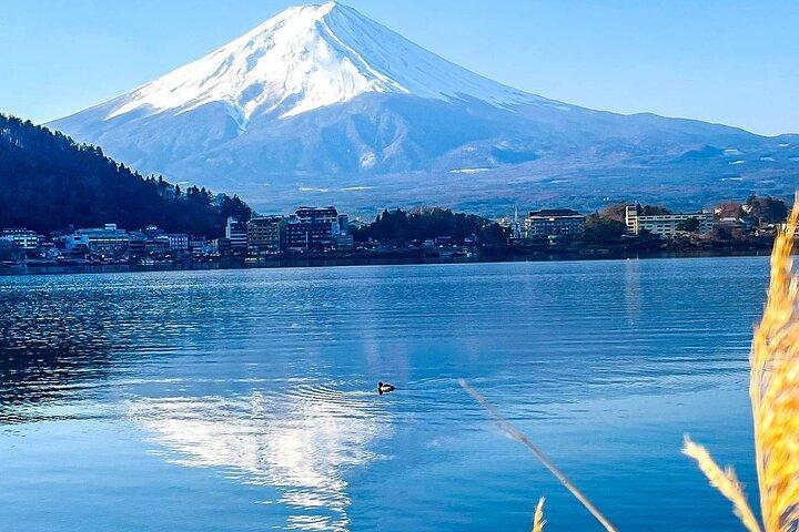 Privado 21 dias Japão Férias de Tóquio