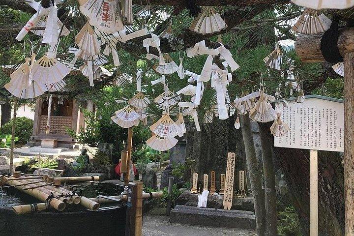 京都から天橋立・伊根船屋観光1日ツアー