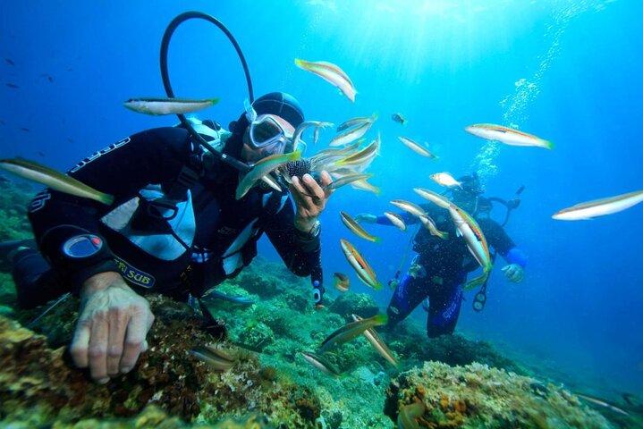 Tour de buceo Nha Trang: 2 inmersiones para principiantes en Marine Park