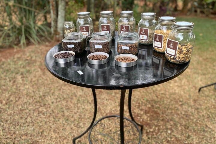 Fairview Estate Coffee Farm Tour with Pick up