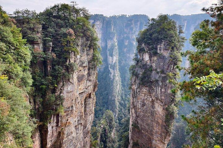 Réservation de billets pour le parc forestier national de Zhangjiajie