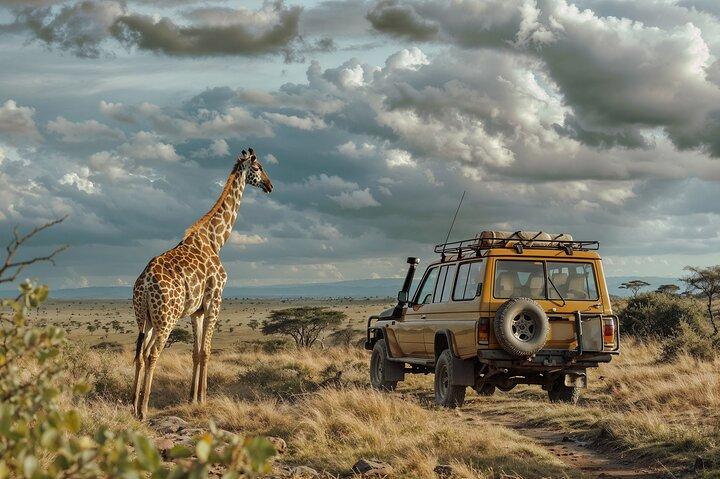 Chobe dagstur
