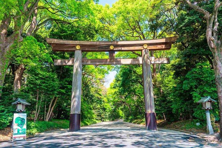 東京午前ツアー：明治神宮、浅草、魚市場