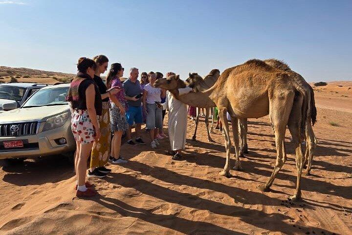 マスカットからワヒバ砂漠キャンプへのプライベート送迎