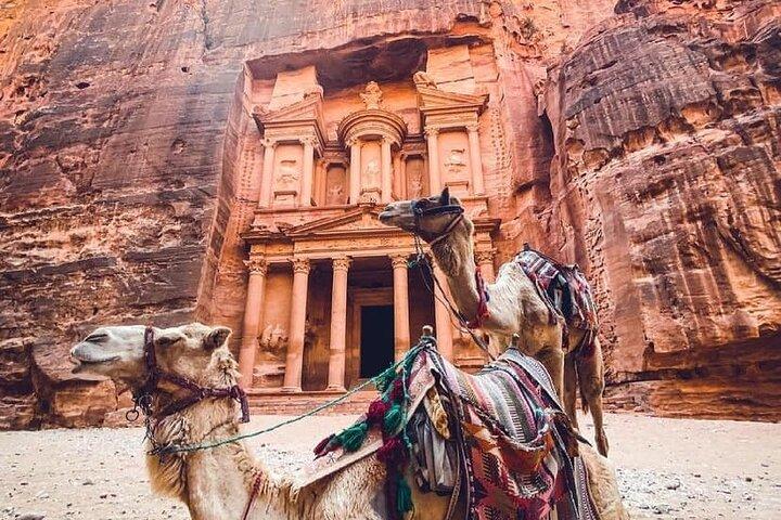 Excursão de um dia inteiro com motorista privado de Amã: Petra ou Petra & Wadi Rum