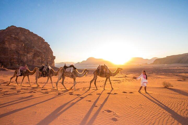Excursão de um dia inteiro com motorista privado de Amã: Petra ou Petra & Wadi Rum