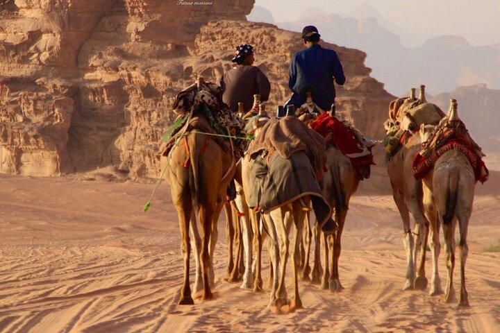 Excursão de um dia inteiro com motorista privado de Amã: Petra ou Petra & Wadi Rum