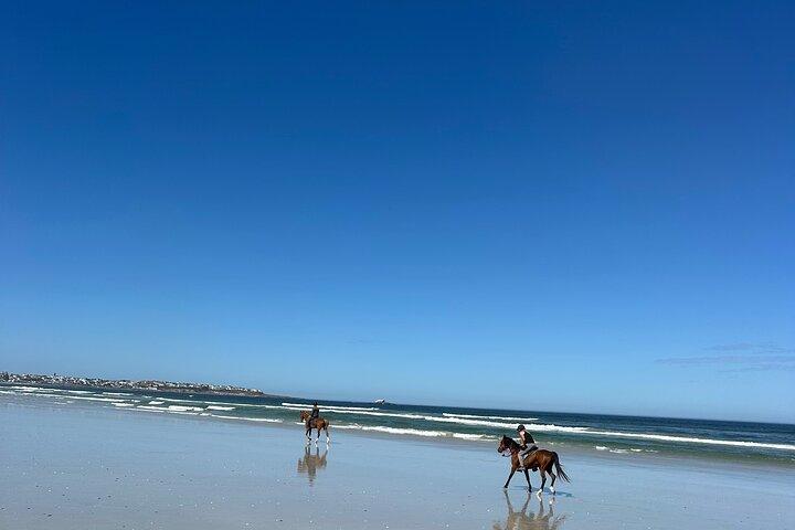Balade à cheval sur la plage à Yzerfontein, Cap-Occidental