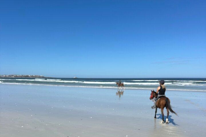 Balade à cheval sur la plage à Yzerfontein, Cap-Occidental