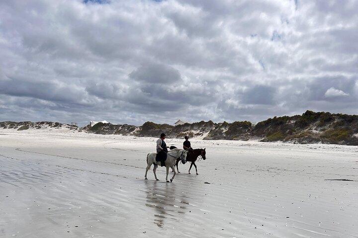 Balade à cheval sur la plage à Yzerfontein, Cap-Occidental