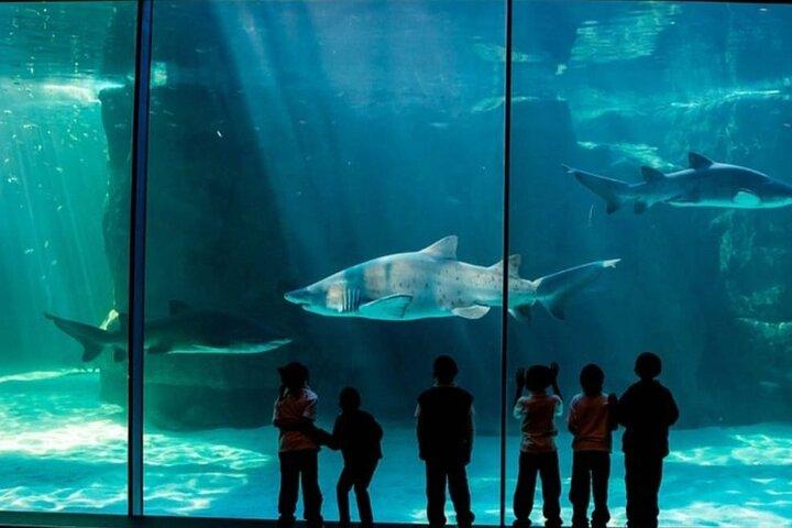 2つの海の水族館、ウォーターフロントダックと植物ツアー込み