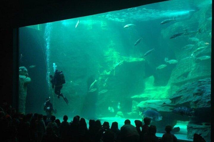 2つの海の水族館、ウォーターフロントダックと植物ツアー込み