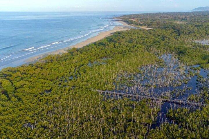 Avellanas Wildlife Walk