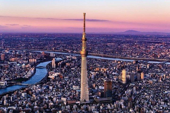 東京市内・川越市内貸切日帰りツアー