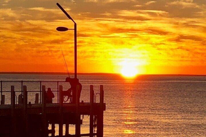 モーニントン半島日帰りツアー。 Your Day Your Way. あなたのグループのみ
