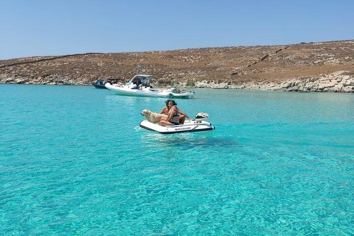 Paseo en barco privado de 4 horas