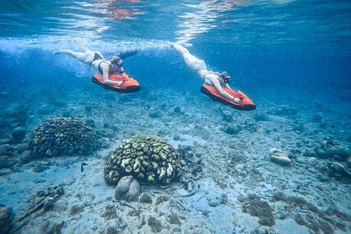 Seabob de Curazao en Playa Piskado Aventura con tortugas marinas