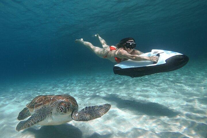 Seabob de Curazao en Playa Piskado Aventura con tortugas marinas