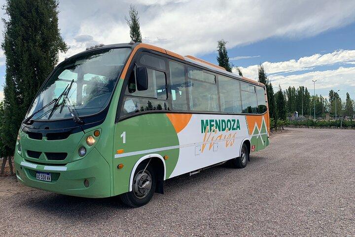 Mendoza vin- og oliesmagning i Maipú