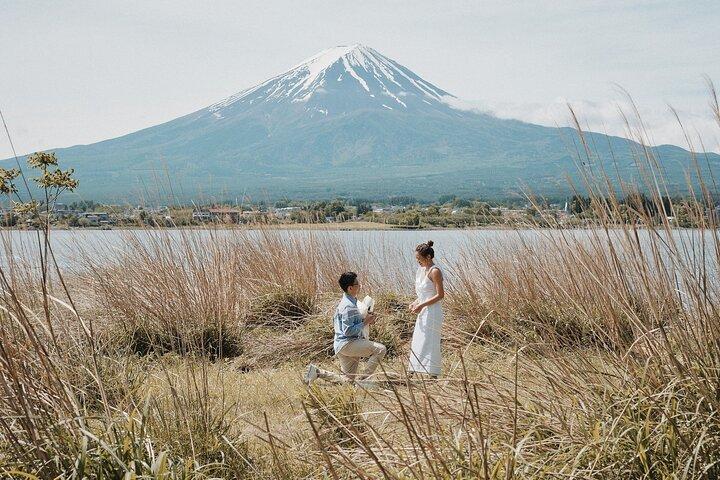 Mount Fuji and Hakone Customize Private Day Tour with Driver