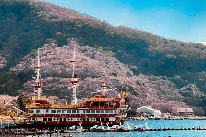 Mount Fuji and Hakone Customize Private Day Tour with Driver
