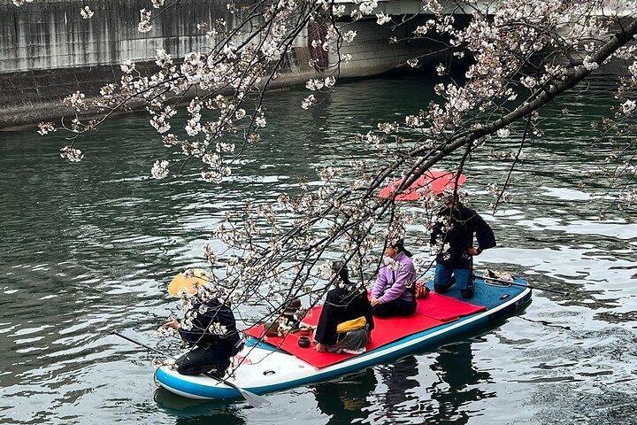 Bezichtiging van de kersenbloesem vanaf een boot : Tour in Yokohama Minato Mirai
