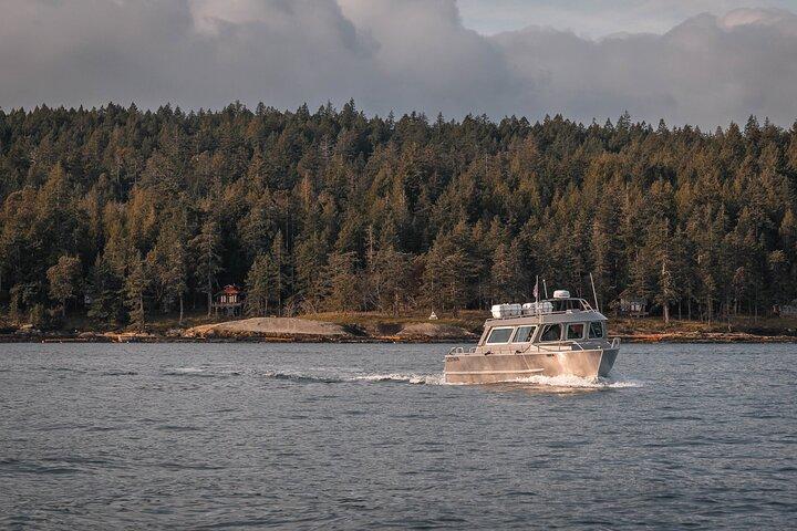 Besøg Nanaimo Private Whale Watching