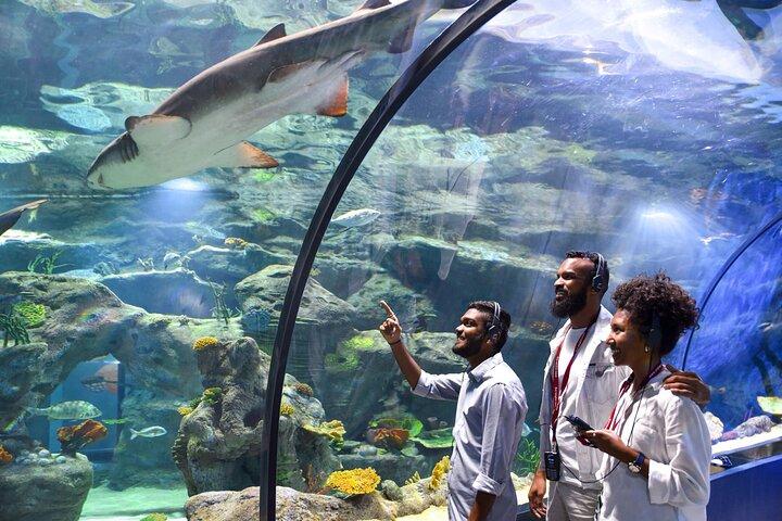 Mauritius Odysseo Oceanarium a Port Louis