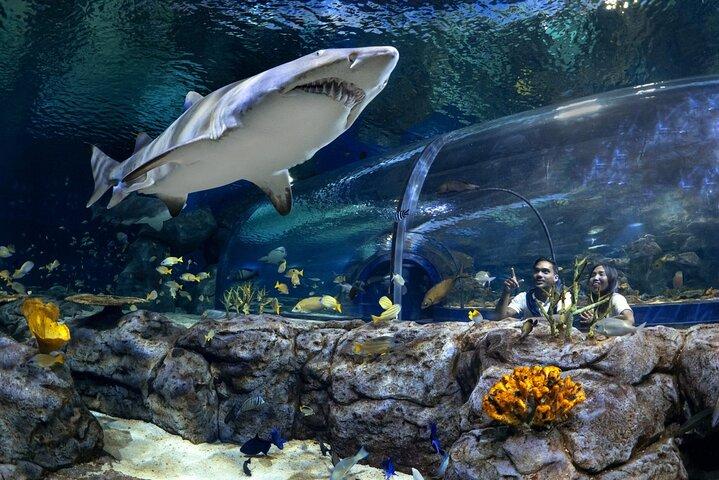 Mauritius Odysseo Oceanarium a Port Louis