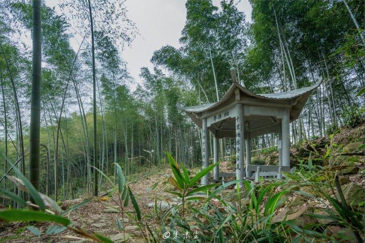 Shanghai to Hangzhou Tofu Ancient Road Hiking Tour em trem