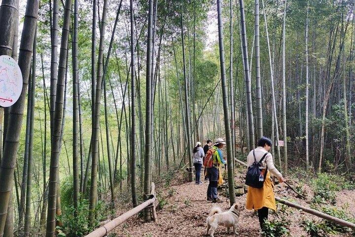 Shanghai to Hangzhou Tofu Ancient Road Hiking Tour em trem