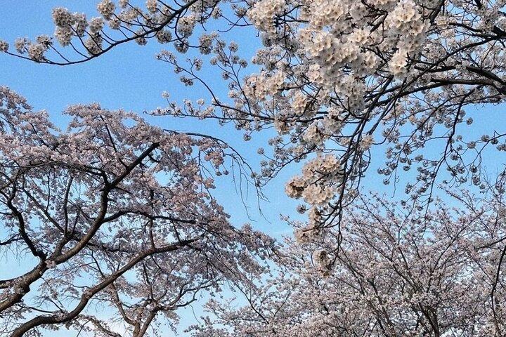 De Séoul: Visite privée d'une journée à Gangneung