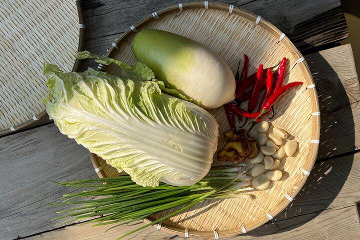 Kimchi Cooking Class in Hanok House & Donate Kimchi