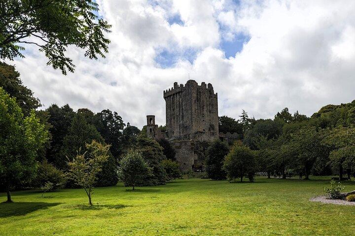 Blarney Castle och Jameson Midleton Distillery privat dagstur
