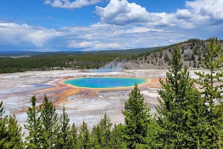 Dagtour met gids door Yellowstone