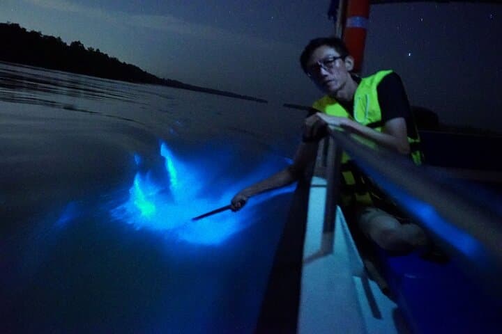 Kuala Selangor Fireflies & Blue Tears Guided Tour w Dinner (SIC)