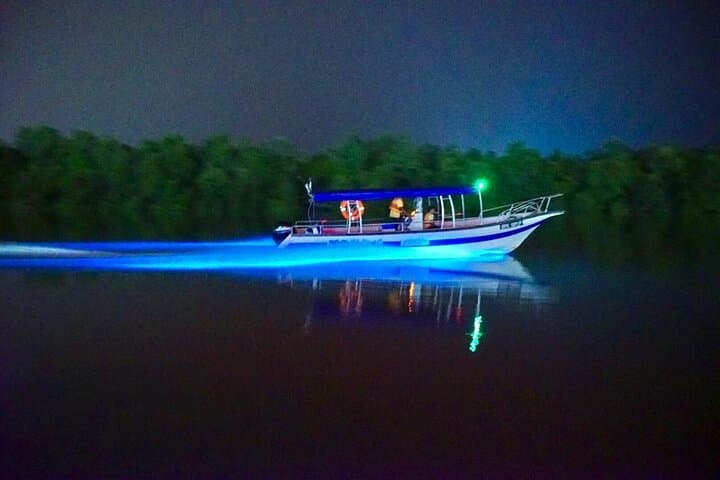 Kuala Selangor Fireflies & Blue Tears Guided Tour w Dinner (SIC)