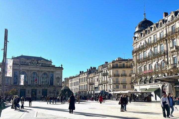 Visita guidata del centro di Montpellier in bicicletta elettrica