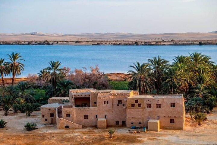 15 dagars egyptisk tur till Kairo och öken Oaser och Nilkryssning