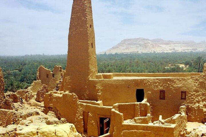 15 dagars egyptisk tur till Kairo och öken Oaser och Nilkryssning