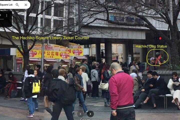 東京バー巡りとナイトライフツアー渋谷