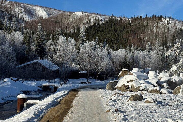 Chena Hot Springs Kleingruppentour