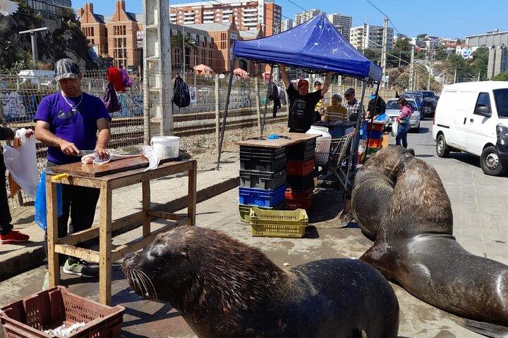 Tour Valparaíso y Viña del Mar a Santiago 4 - Pax Deal