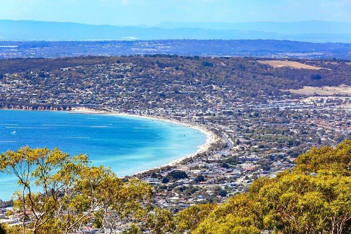 Melbourne Shore Excursion, Wine Region, Wildlife, Shared Tour