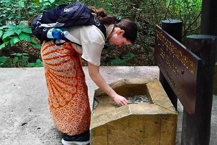 ドーイインタノン国立公園: ロイヤルパゴダ&キユーメーパンハイキング