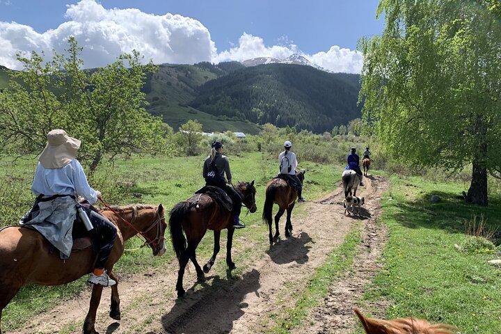 チョン・ケミン国立公園の小集団乗馬
