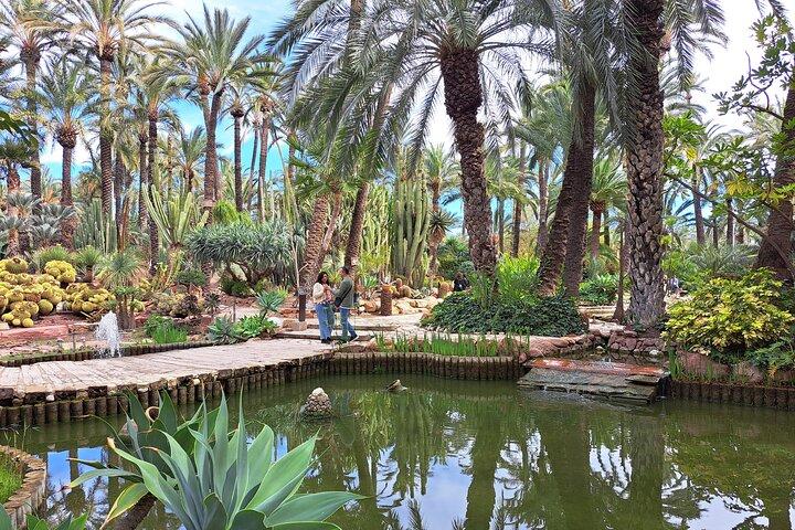 Excursão em grupo pequeno de Alicante e Elche com Palm Grove e Castelo