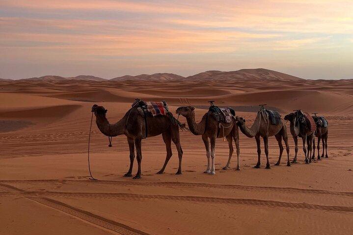 Marrakech To Fes 3 Days Desert Tours