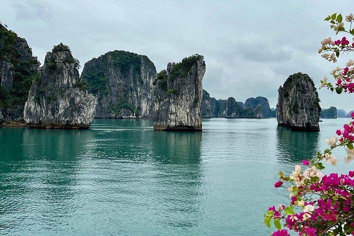 Hoteller i nærheden af Bai Tu Long Bay Day Cruise